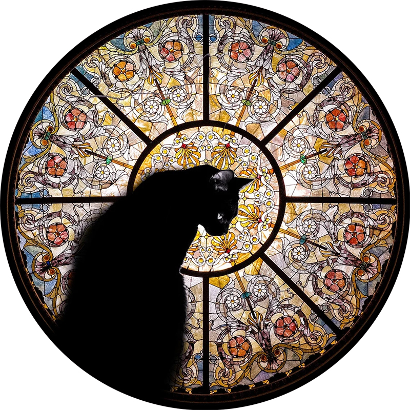 Black Cat Wooden Jigsaw Puzzle - aimpuzzle